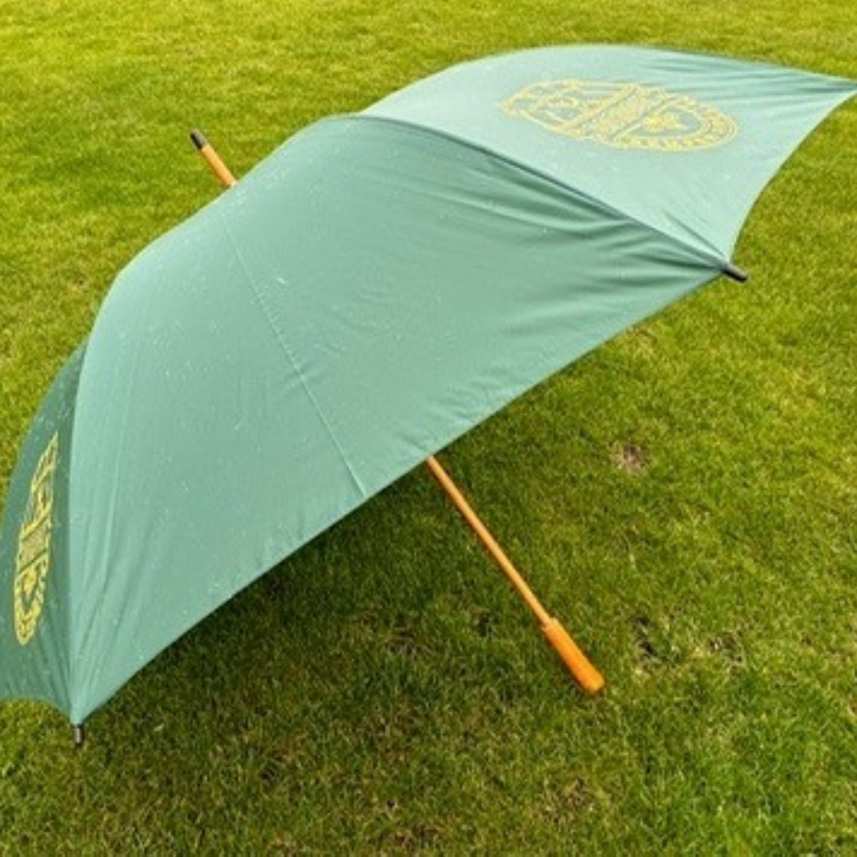 Gordon's Green Umbrella